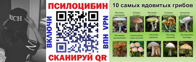 Псилоцибиновые грибы мухоморы  Цоци-Юрт 